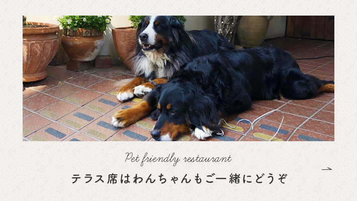 Pet friendly restaurant わんちゃんもご一緒にどうぞ