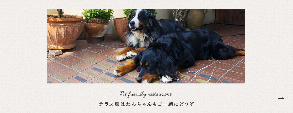 Pet friendly restaurant わんちゃんもご一緒にどうぞ